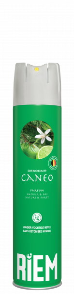 Desodair groen riem Riem Desodair groen riem Riem